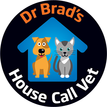 Melbourne House Call Vet for Cats and Dogs